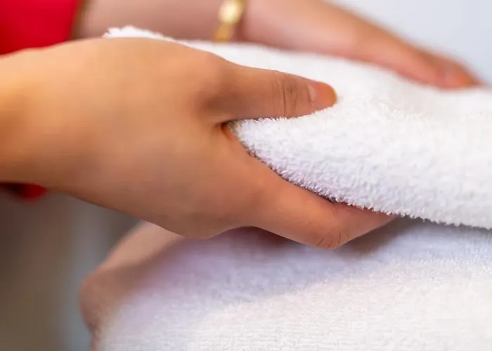 都柏林机场克莱顿酒店 酒店